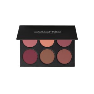 Nahaufnahme der Essential Palette Blush Pro HD mit rosé und pfirsichfarbenen Tönen
